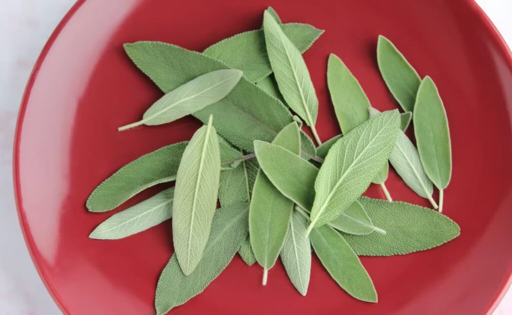 Choosing Between Dried or Fresh Sage: Which Is Best?