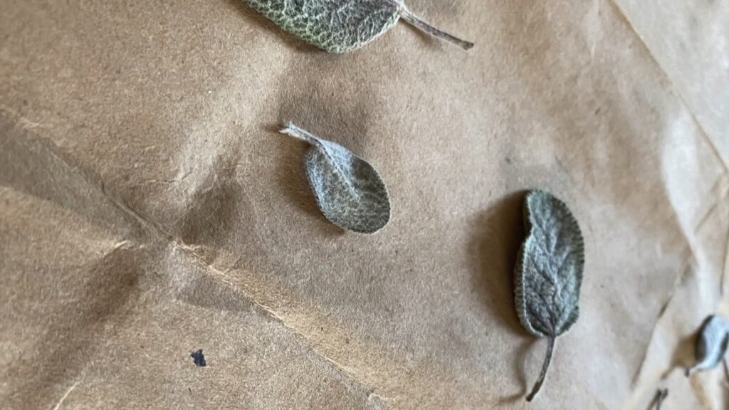 Dried sage leaves scattered on a crinkled brown paper surface